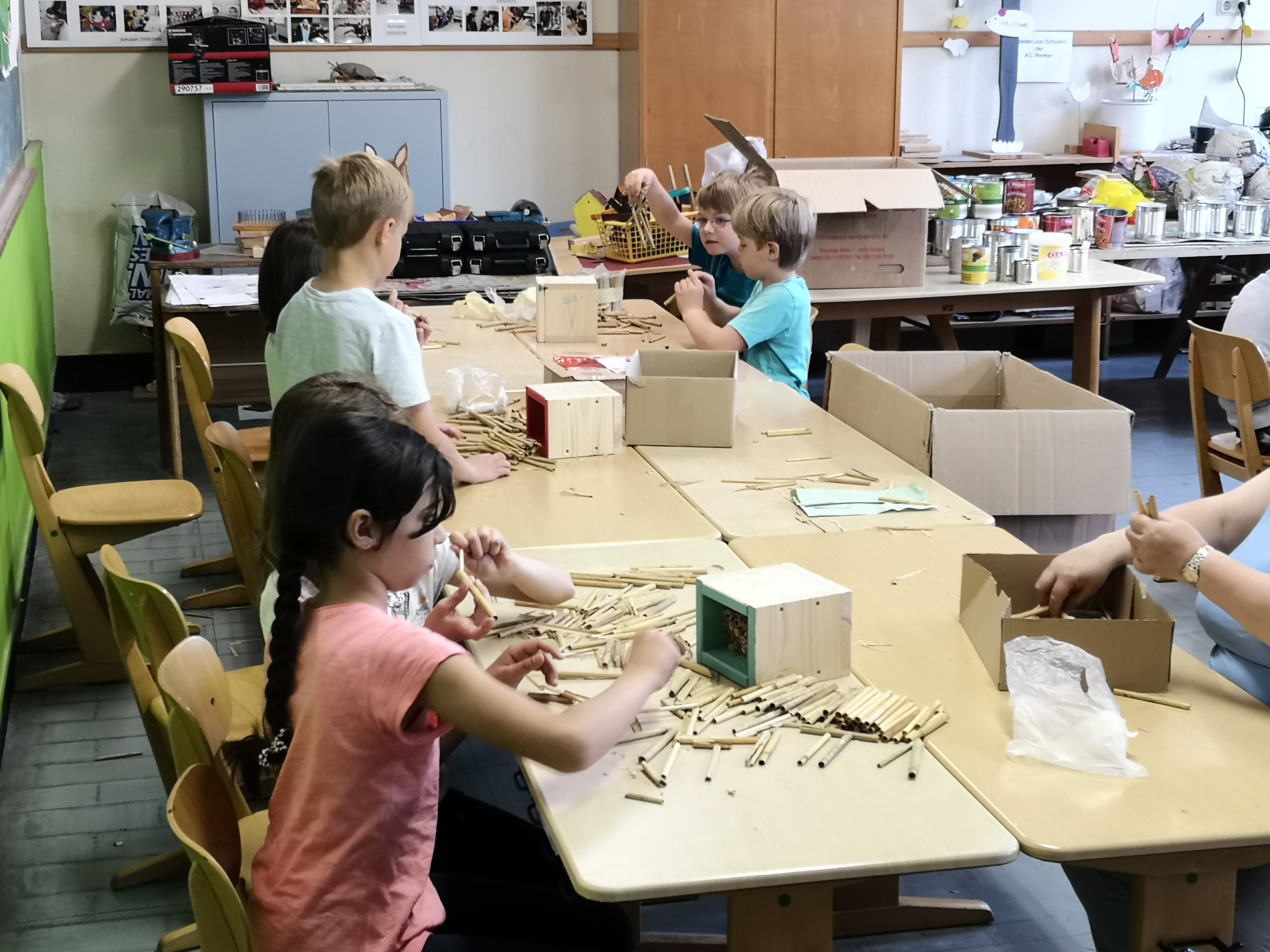 dfgd_Kinder bauen in der Schule Nisthilfen.jpg